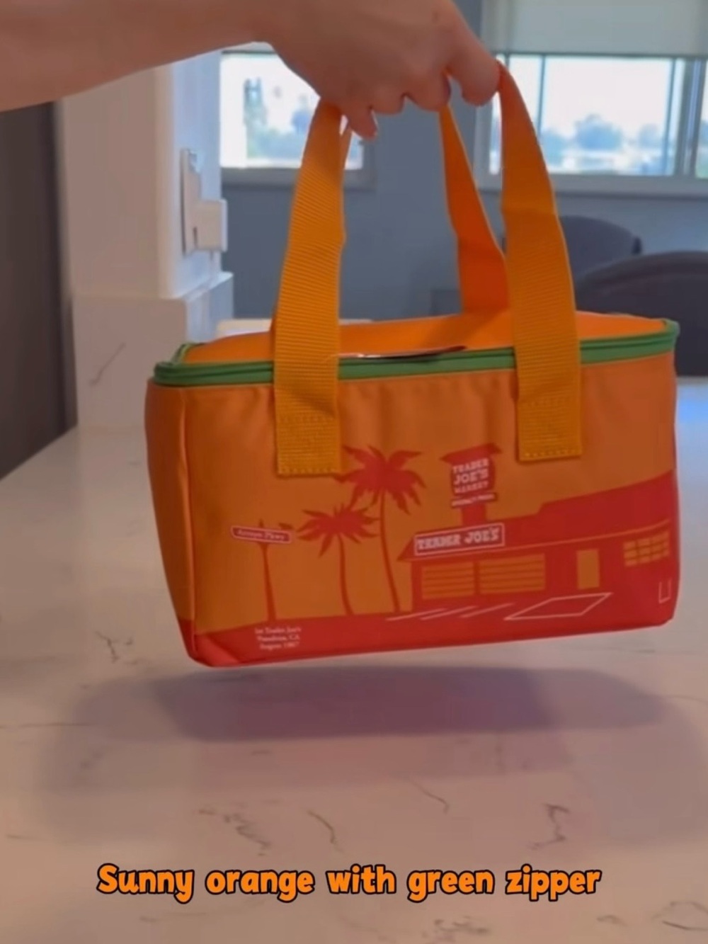 Trader Joe's Orange Tote Cooler with Green Zipper NWT